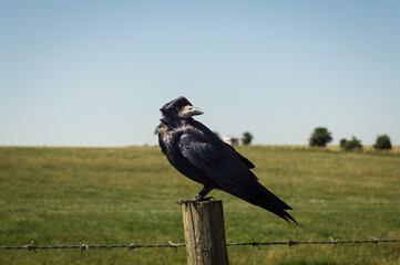 Beautiful view of Stonehenge, United Kingdom