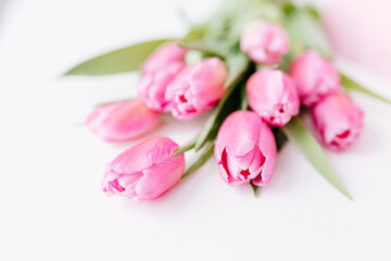 Pink tulips close-up on a white background. Background for Valentine's Day. Gift for Mother's Day or Women's Day