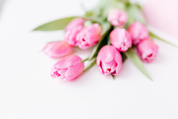 Pink tulips close-up on a white background. Background for Valentine's Day. Gift for Mother's Day or Women's Day