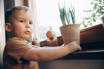 Spring gardening. Planting onions. Activities at home. Knowledge of nature. Onion in pot. Young gardener. Early education. Knowledge of nature.	
 - Powered by Adobe