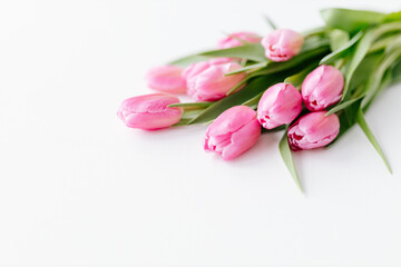 Pink tulips close-up on a white background. Background for Valentine's Day. Gift for Mother's Day or Women's Day