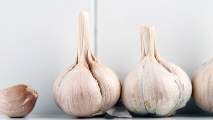 Garlic Cloves and Bulb on White Background