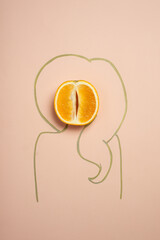 an orange on a solid background and the silhouette of a drawn woman, concept of female health and pelvic floor, healthy vagina,