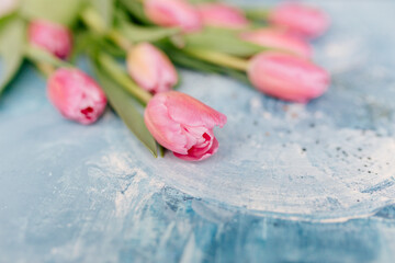 A bouquet of pink fresh tulips lies on a blue and turquoise scenic art background. Valentine's Day Background