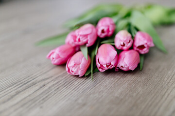 Obraz na płótnie Canvas Pink tulips lie on a wooden surface. Spring background with flowers. Valentine's day card.