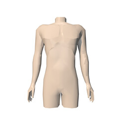 male body mannequin