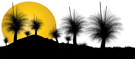 Silhouette of Grass tree or black boy tree at sunset with white background