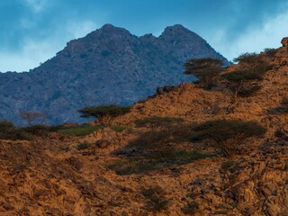 saudi arabian mountain landscape 