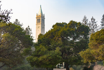 campanile with trees