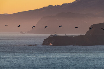sunset, coastline, birds, lighthouse