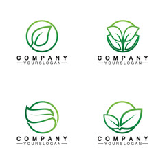 Simple leaf logo inside circle with minimal line art design style