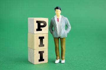 small people and wooden cubes with the word PPI or the word personally identifiable information....
