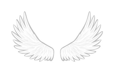 white, eagle wings in smooth gradation style on transparent background – vector