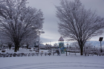 公園に雪　K3CP7807