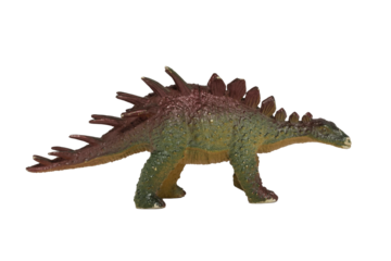 A worn plastic kentrosaurus isolated on a white background. Toy dinosaur.