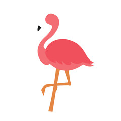 vector animal flamingo looks like real