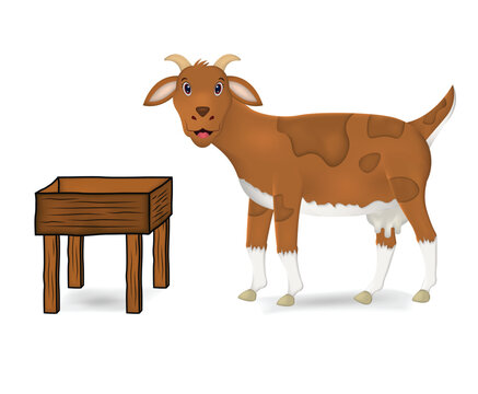Goat realistic vector illustration isolated on white background