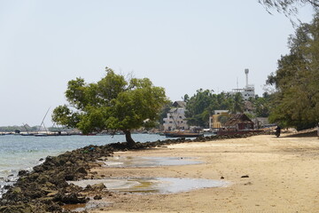 Kenya - Lamu Island - Shela - Beach Road Views