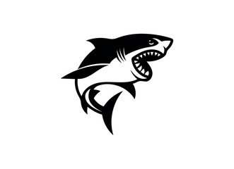 Shark logo Vector Illustration design template