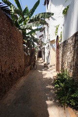 Kenya - Lamu Island - Shela - Street Views