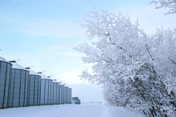 Winter white scene of the road along the farm and the wood in snow.
