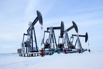 Winter in the oilfield cowered with white snow with black pumpjacks.