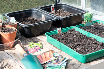 Spring growing vegetable seeds planted in trays and pots of compost with seed packets and trowel