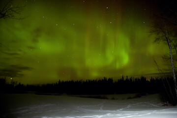 Green lights of Aurora borealis in the night forest valley.