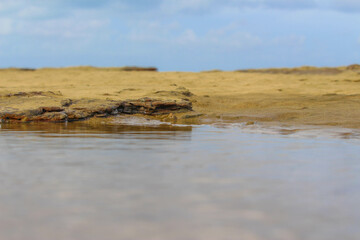 Beach macro