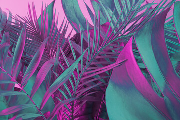 Trendy composition made with of tropical and palm leaves in vibrant bold gradient holographic neon...