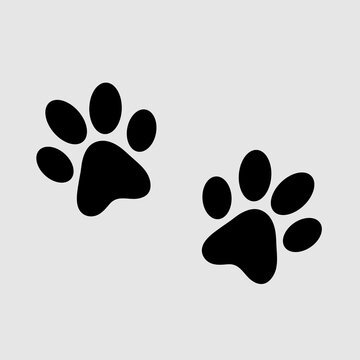 Pair of paw prints icon trendy style illustration on gray background..eps
