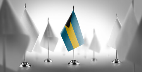 The national flag of the Bahamas surrounded by white flags