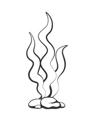 Seaweeds underwater plant outline doodle vector illustration. Aquarium, ocean and marine algae water seafood.