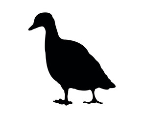 Vector flat goose silhouette isolated on white background