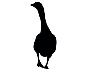 Vector flat goose silhouette isolated on white background