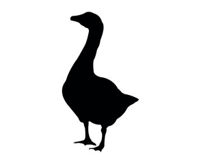 Vector flat goose silhouette isolated on white background