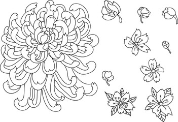 Free hand Sakura flower vector set, Beautiful line art Peach blossom isolate on white background.colorful flower with sakura and chrysanthemum for printing on background.