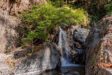 Fototapeta premium Deep forest waterfall background image