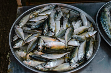 Fresh mackerel laying on trays filled with ice for sale in Sriracha seafood market, Thailand