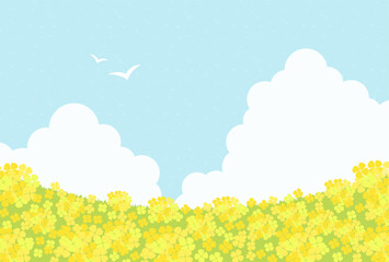 Fototapeta na wymiar vector background with canola flower field on sky for banners, cards, flyers, social media wallpapers, etc.