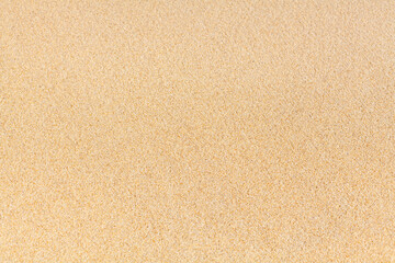 Plakat Yellow sand texture close up background, sandy pattern, natural fine sand grains backdrop, clean flat beige sand top view, light brown desert dune surface, summer tropical sea beach banner, copy space