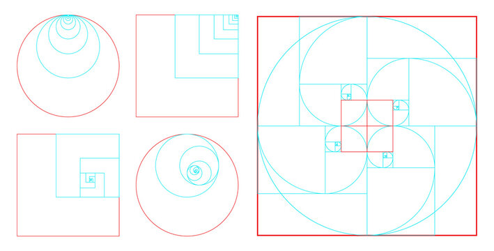 fibonacci ratio divine proportion isolated - 3d Illustration