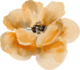 watercolor illustration of peony flower