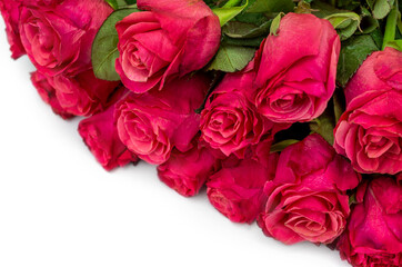 Bouquet of red roses on white. Close up.