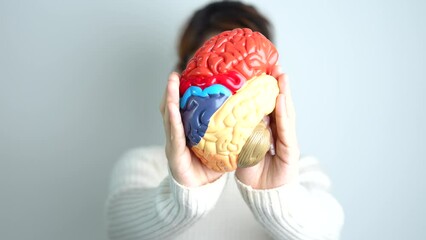 Woman holding human Brain model. World Brain Tumor day, Brain Stroke, Dementia, alzheimer, parkinson and world mental health concept
