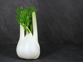 fresh fennel bulb on black slate stone background with copy space, healthy food and diet concept image