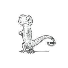 Lizard gecko illustration artwork vector graphic, cute geckos vectorized
