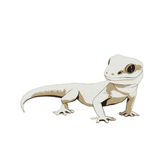 Lizard gecko illustration artwork vector graphic, cute geckos vectorized