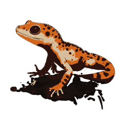 Lizard gecko illustration artwork vector graphic, cute geckos vectorized