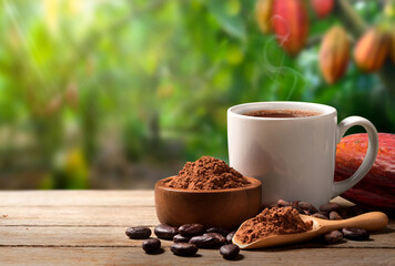 Hot cocoa drink with cocoa powder and beans in cocoa plantation background.